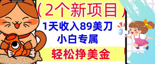 2个新项目,轻松挣美金, 1天收入89美刀,小白专属,干货分享-富创网